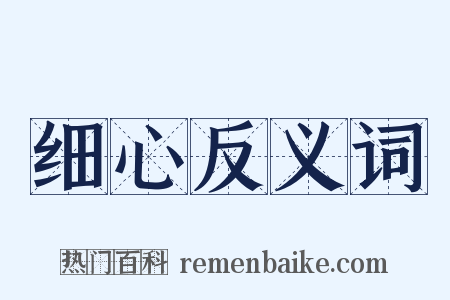 细心反义词是什么意思的图片